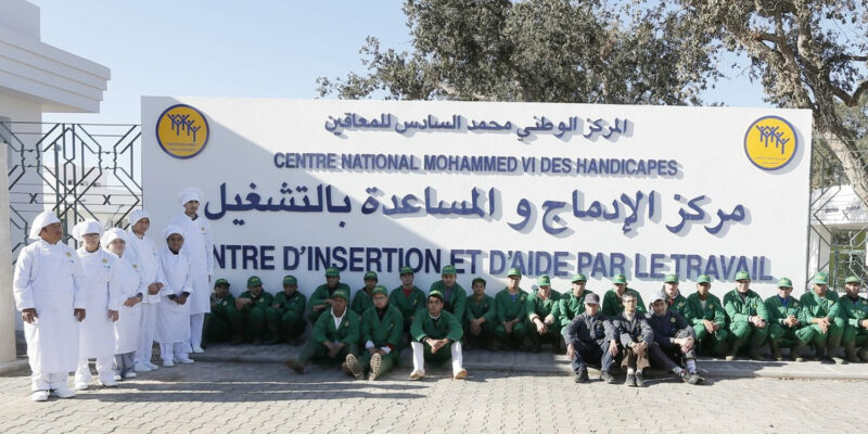 Agir pour l’accès à l’emploi des jeunes avec handicap mental